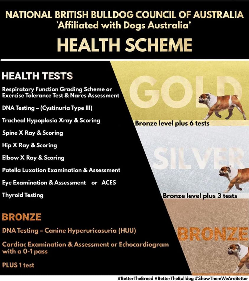 English bulldog shops health testing