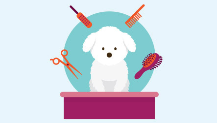 How much time can you dedicate to brushing and grooming your dog? 
